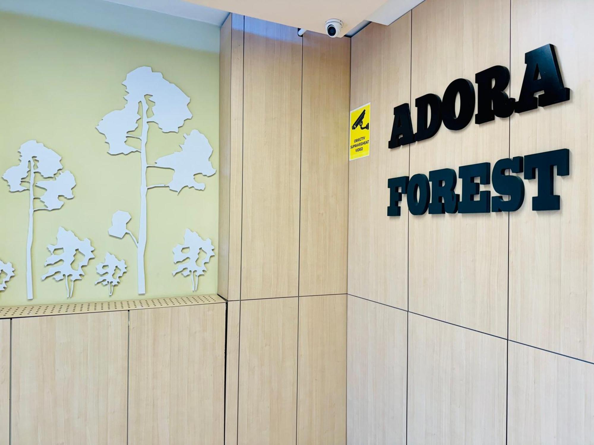 Joy Forest 84 Apartament Timişoara